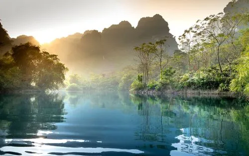 绿色高效